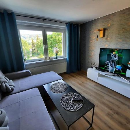 Orlicka Apartament Duszniki Zdrój Extérieur photo