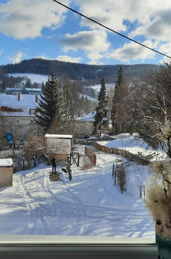 Orlicka Apartament Duszniki Zdrój Extérieur photo
