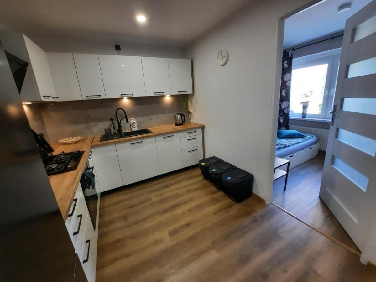 Orlicka Apartament Duszniki Zdrój Extérieur photo